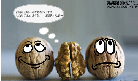 加盟殼殼果